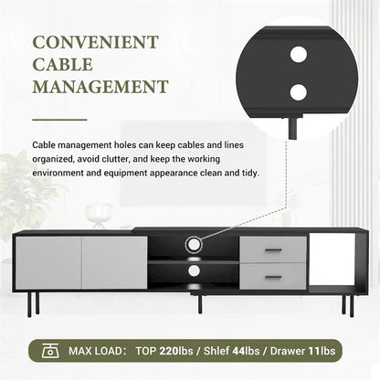 Modern TV Stand with 2 Doors and Large Storage Cabinet