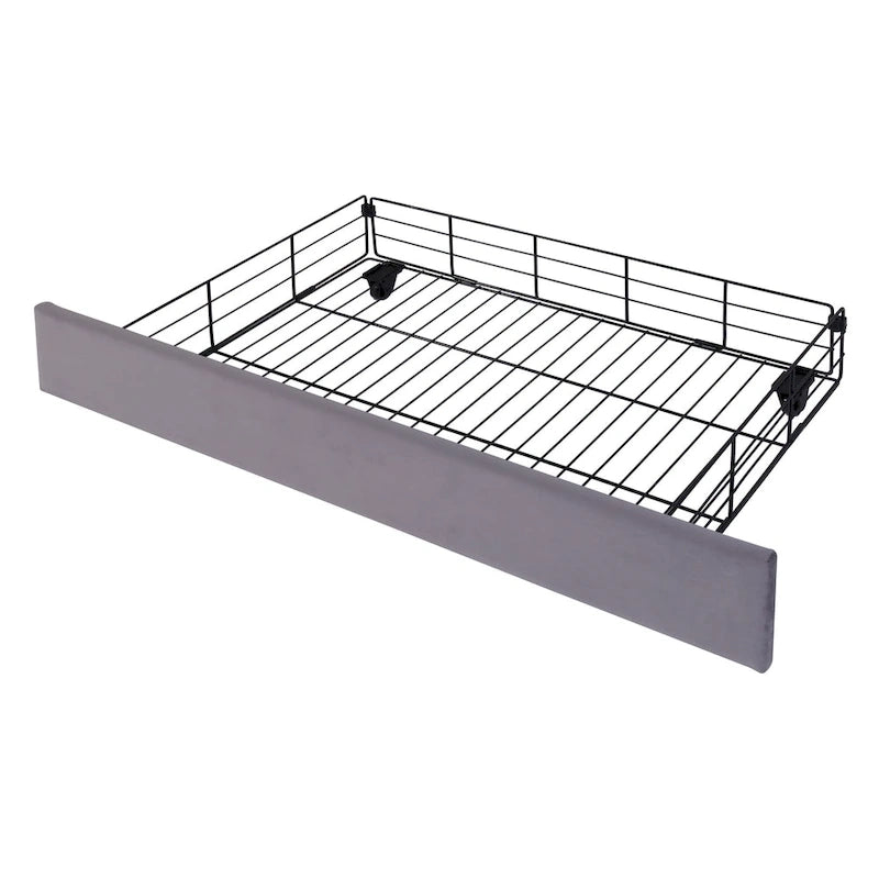 Queen Size Upholstered Platform Bed with LED Lights and 4 Drawers