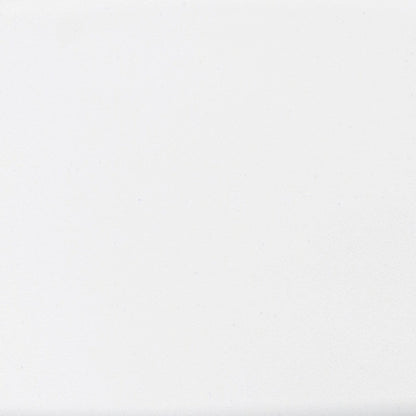 2 PK 330 lb. Capacity Plastic Folding Chair with Charcoal Frame