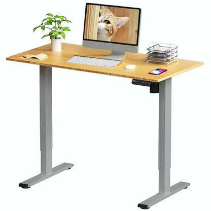 FlexiSpot 100% Bamboo Whole-Piece Desktop Ergonomic Electric Home Office Standing Desk Memory Controller