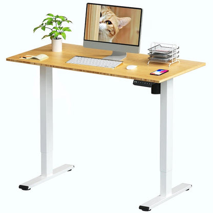 FlexiSpot 100% Bamboo Whole-Piece Desktop Ergonomic Electric Home Office Standing Desk Memory Controller