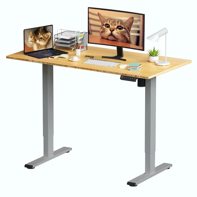 FlexiSpot 100% Bamboo Whole-Piece Desktop Ergonomic Electric Home Office Standing Desk Memory Controller