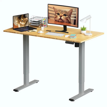 FlexiSpot 100% Bamboo Whole-Piece Desktop Ergonomic Electric Home Office Standing Desk Memory Controller