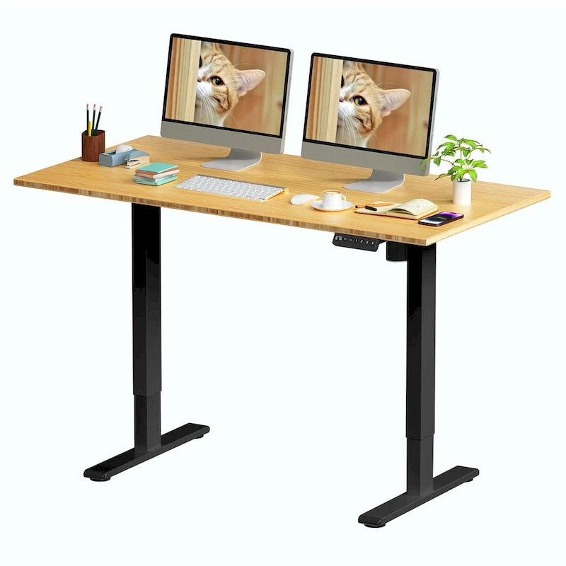 FlexiSpot 100% Bamboo Whole-Piece Desktop Ergonomic Electric Home Office Standing Desk Memory Controller