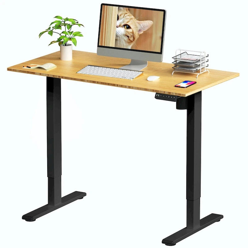 FlexiSpot 100% Bamboo Whole-Piece Desktop Ergonomic Electric Home Office Standing Desk Memory Controller